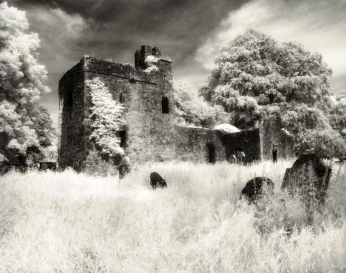 St. Oliver Plunkett's Family Church